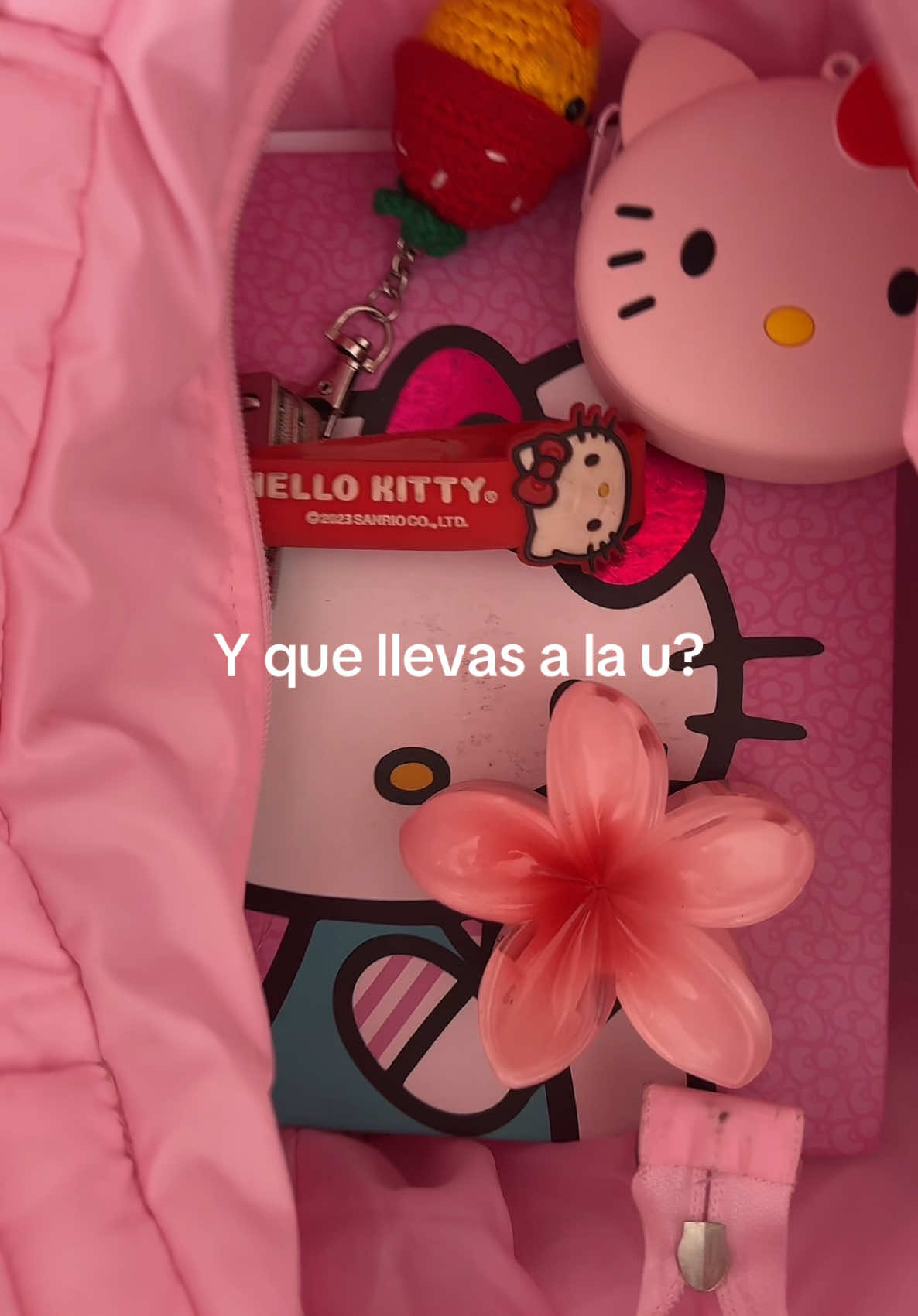 la más fan💕 #hellokitty #u #parati #girls #viral