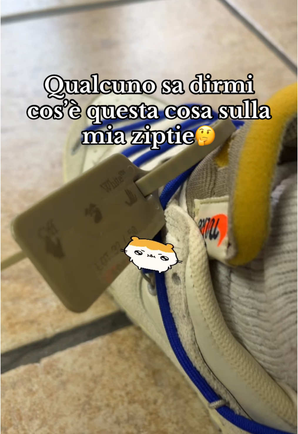 Chi lo riconosce⁉️ #offwhite #nike #dunk #nikedunk #offwhitenike #sneakers #sneakerhead #dunklow #dunklowoffwhite #blu #bianco 