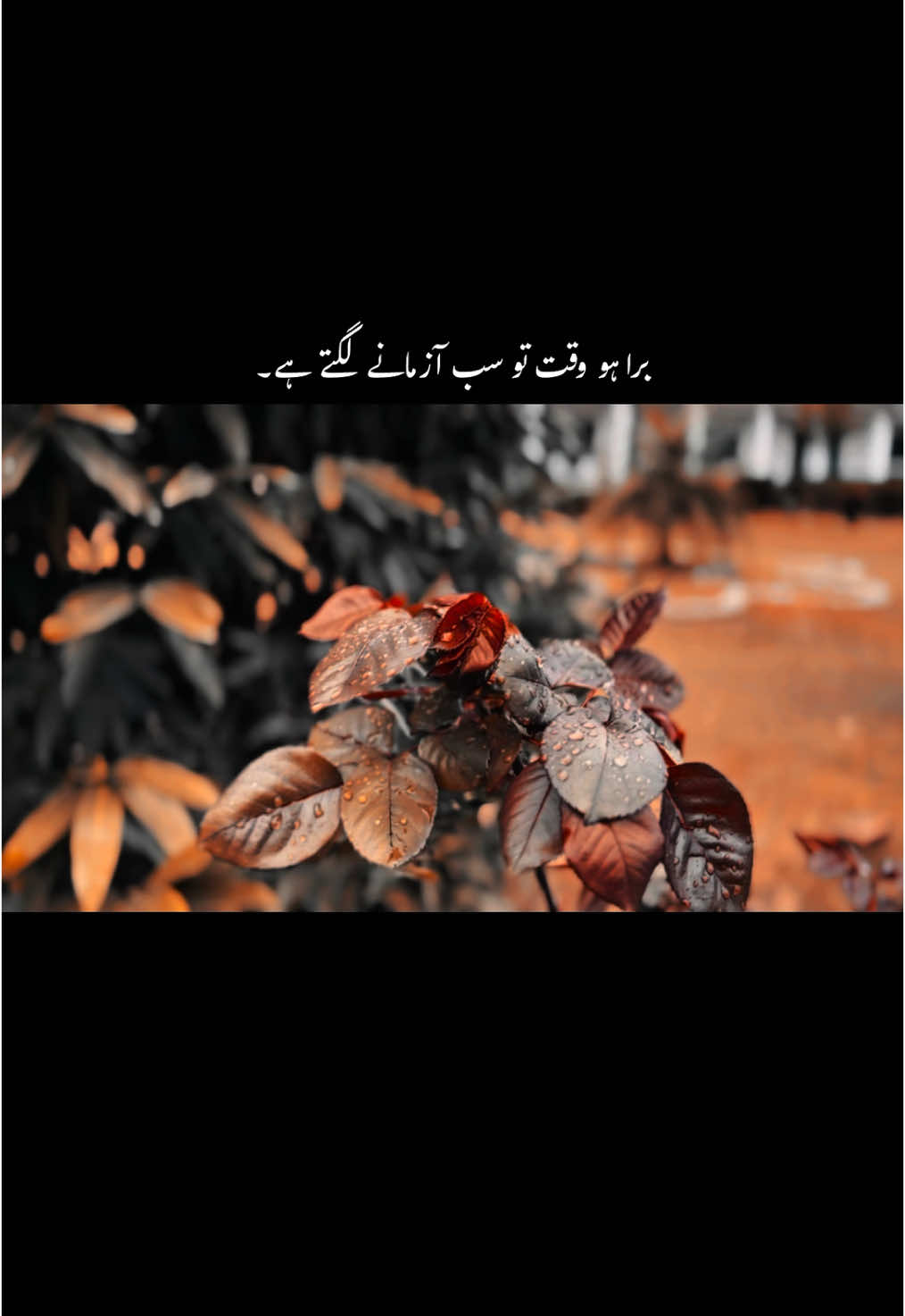 برا ہو وقت تو سب آزمانے لگتے ہے ۔🥹💔 #foryoupage #fyp #trending #1millionaudition #aesthetic #account #grow #hehe_feroz 