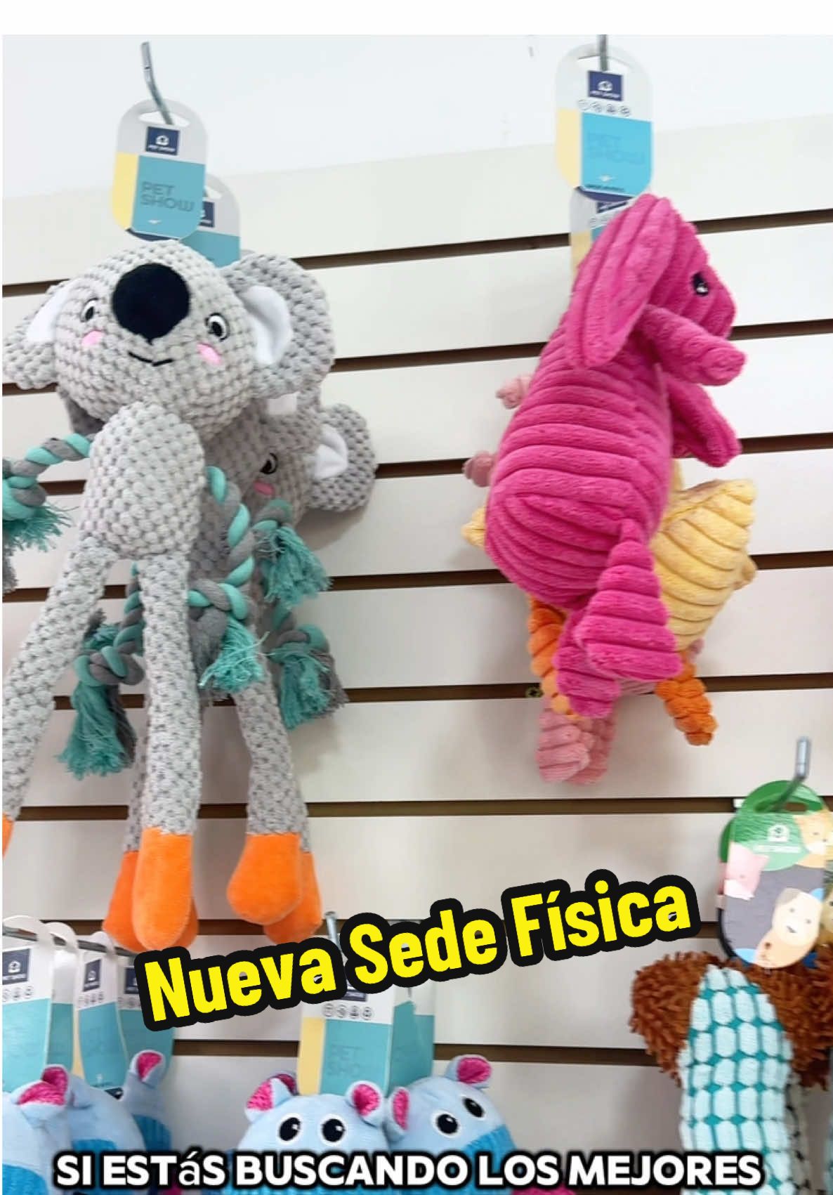 🚨Que esperas para visitar nuestra tienda física‼️🔥, encontrarás una gran variedad de productos para tus mascotas🐶🐱, visítanos y dale lo mejor a tu engreídos. 📍Ubicanos en: Av. Manuel Villarán 1090B, Surquillo 🌐Visita nuestra web: www.pimpom-petshop.com 🚚Llegamos a todo el Perú #tiendafisica #pimpom #petshop #mascotas #lanzamiento #viral_video #paratiiiiiiiiiiiiiiiiiiiiiiiiiiiiiii #foryoupag #cat #dog 