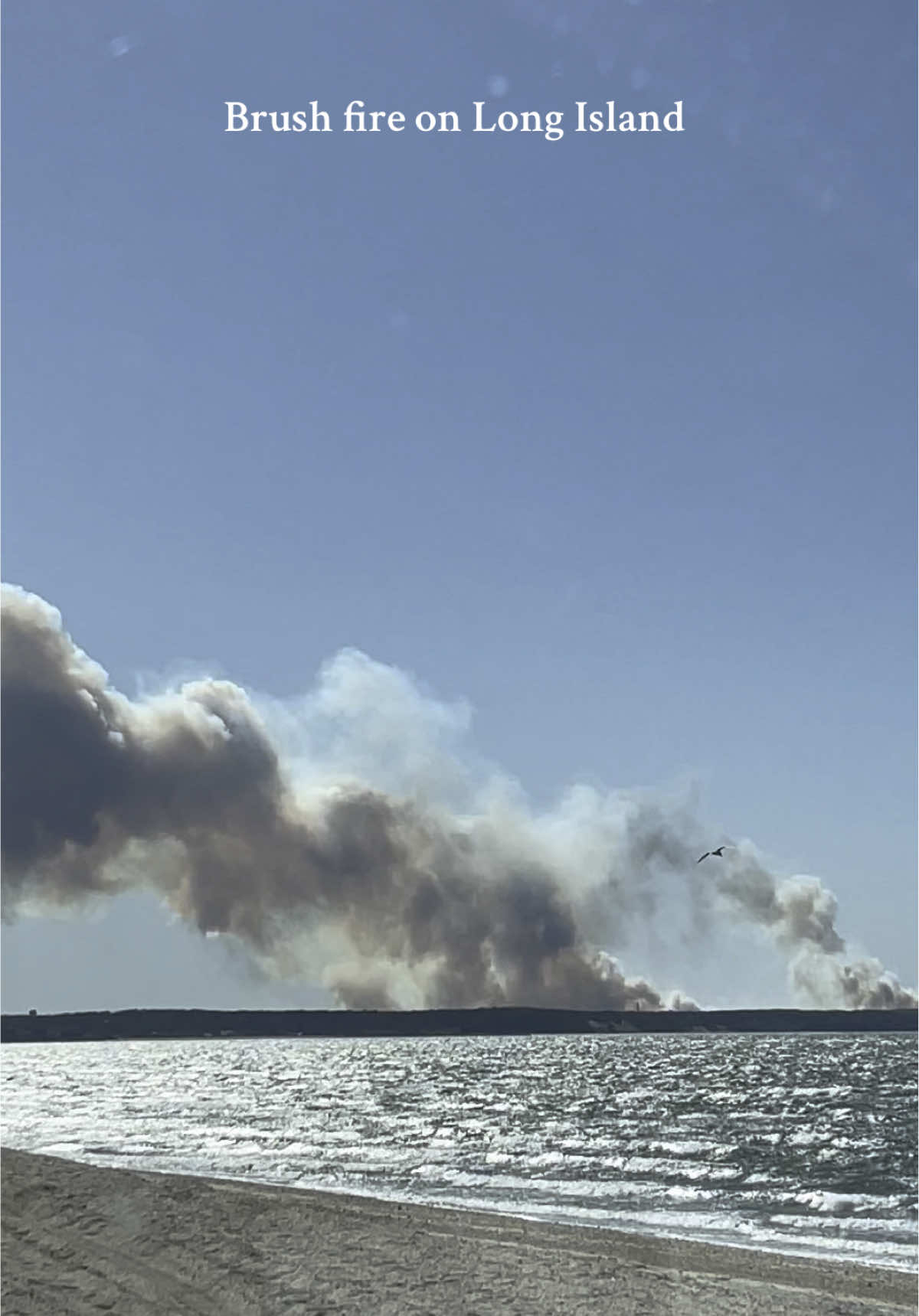 View from Southampton #wildfire #brushfire #longisland #hamptons #southampton #westhampton #beach #fire #trending #fyp #news #fypシ #emergency #currentevents 