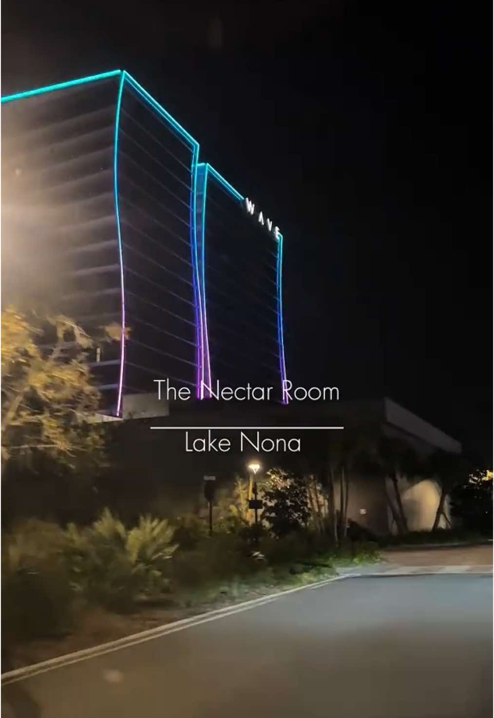 Come with me to the @nectarroomlakenona opening night at the Wave hotel located in Lake Nona, FL Great entertainment, unique drinks and beautiful people 🌸 It was definitely a vibe! Perfect for date night, girls night or if you want to experience a unique lounge with bold drinks and eats you can’t find anywhere else in the area!  #finediningrestaurant #finedining #winetasting #orlando #orlandofood #orlandofoodie #lakenona #orlandofoodblogger #orlandoinfluencer #girlsnight #thingstodoOrlando #fyp 