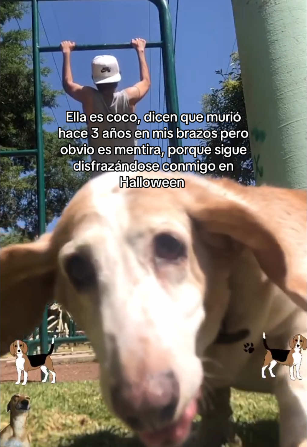 Se me salió una lagrimita • • • #perros #perritos #trendingsong 