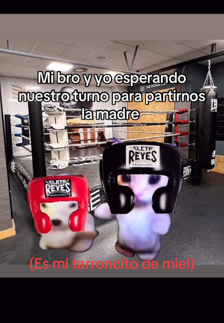 #motivation #fypage #boxing  #mexican #terapia #sparring #box 