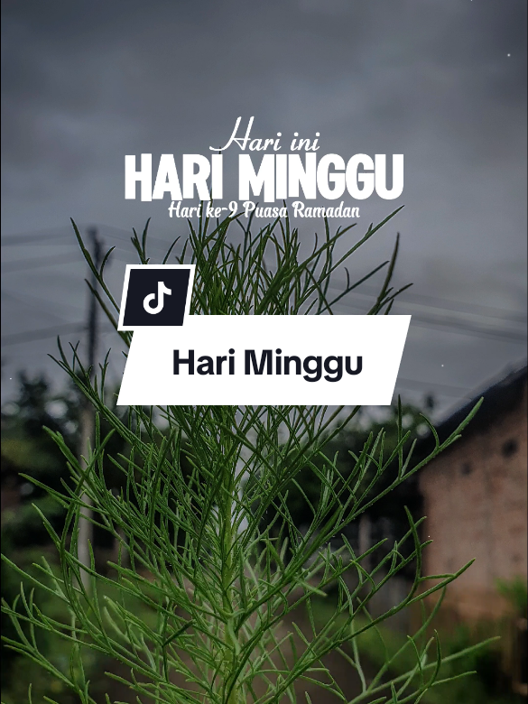 Hari Minggu #CapCut #status #trending #viral #fyppppppppppppppppppppppp #fyp #katakata #story #Ramadan #ramadan2025 #minggu #doa #statusharian #statusharian2025 