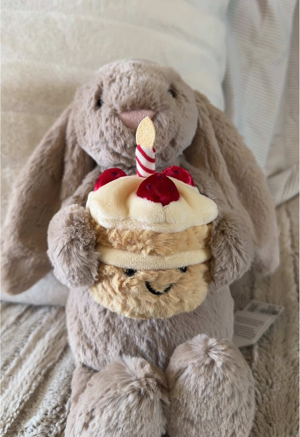 The most perfect @Jellycat I’ve ever seen🐰🎂 #jellycat #jellycatcollection #jellycats #jellycatcollector #girls #cute #bunny #easter #Lifestyle #fyp #fypシ #fypシ゚viral #jellycathaul #jellycatbunny 