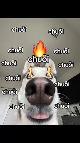 chuỗi chuỗi #fyp #tâmtrạng #ddnxuhuong 