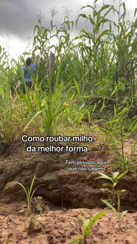 Isso aqui é ao vivo, Valdez!