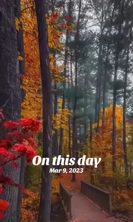 #onthisday 