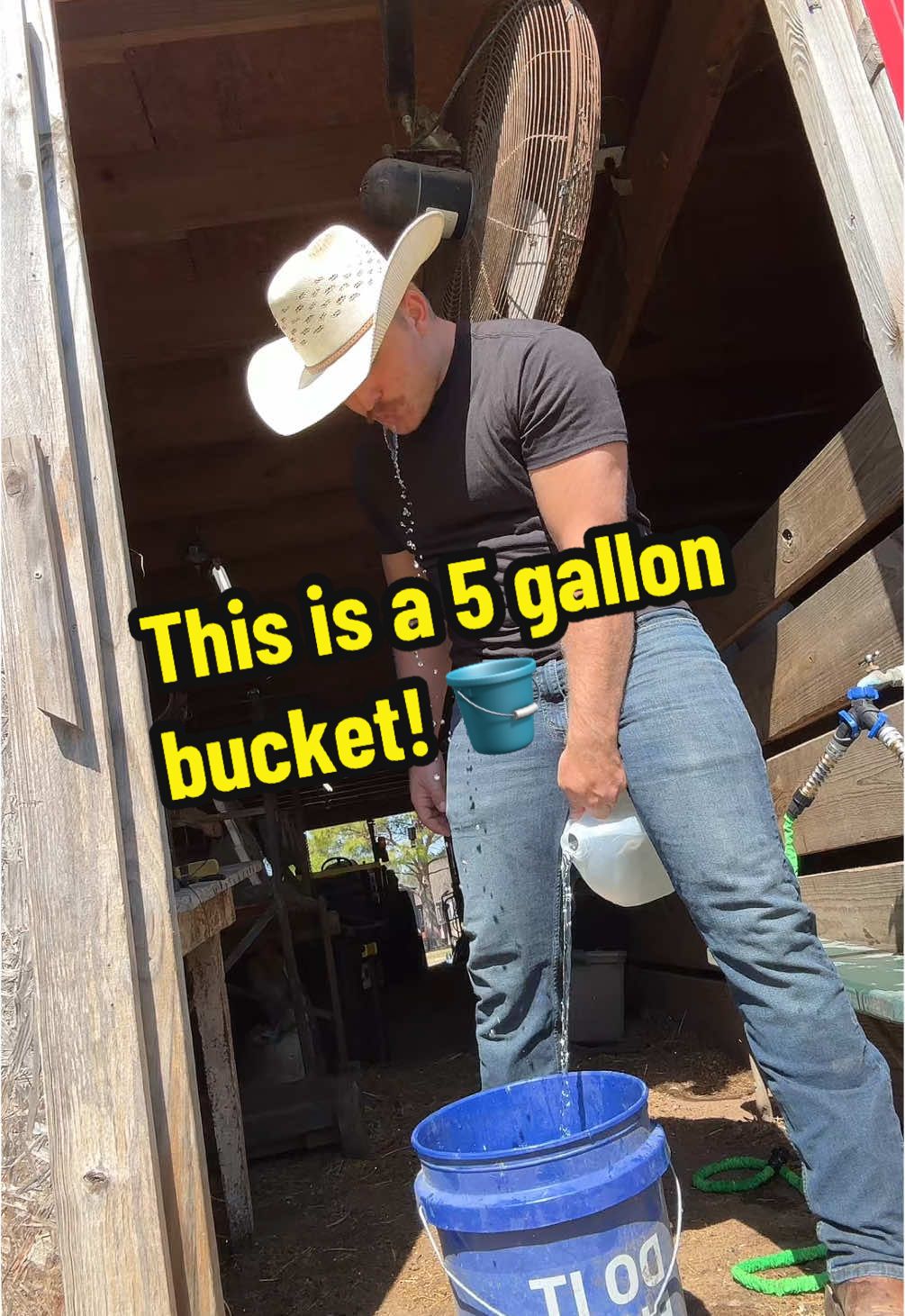 Replying to @Kaden Haws after all the accusations, this is indeed a 5 gallon bucket 🪣 #foryou #chickens #backyardchickens #fypシ #chickensoftiktok 