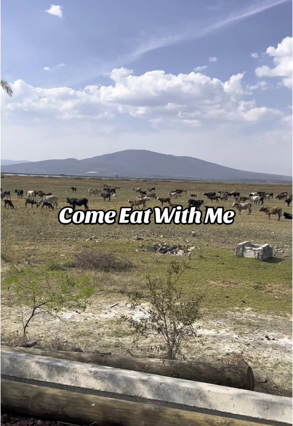 #mexico #michoacan #travel #Vlog #dinner #dinnerwithme #cows #restaurant #view #mexicantiktok #mexicana #mexicanfood 