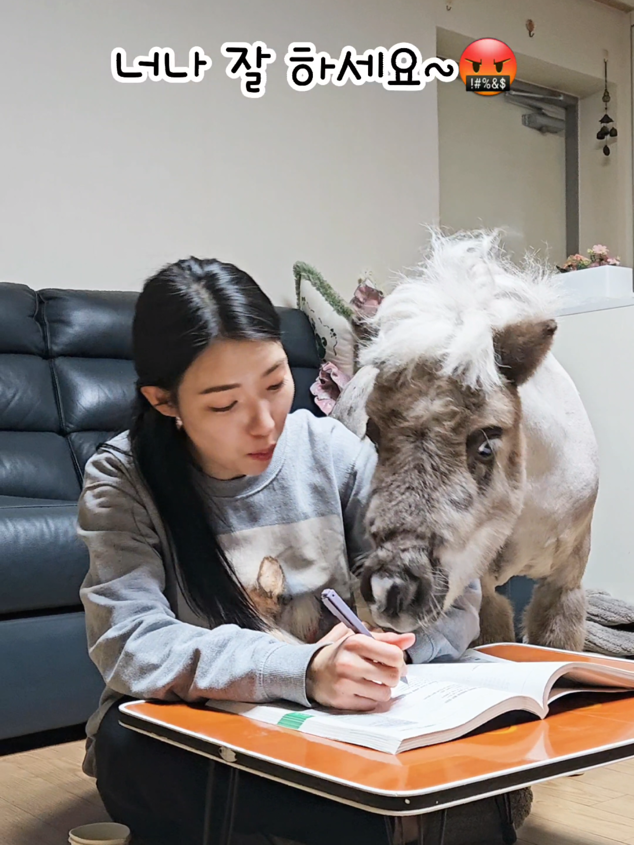 너나 잘 하세요~📚🕯 Doing study a little bit😴📌 Little 'Wally' is one of the smallest horse breeds in the world, and Flop is Wally's best friend, a giant rabbit! El pequeño 'Wally' es una de las razas de caballos más pequeñas del mundo, y Flop es el mejor amigo de Wally, ¡un conejo gigante! #hippo #bunny #cat #puppy #donkey #fubao #animal #alpaca #character #cute #minhorse #petgrooming #mukbang #asmr #capybara 