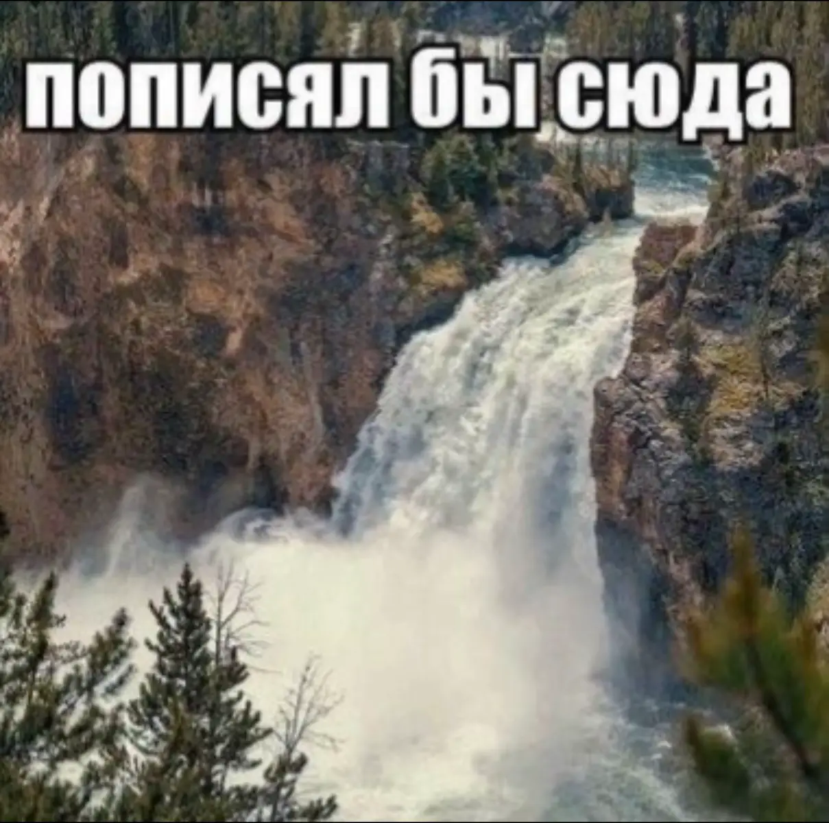 #водопад #щп 