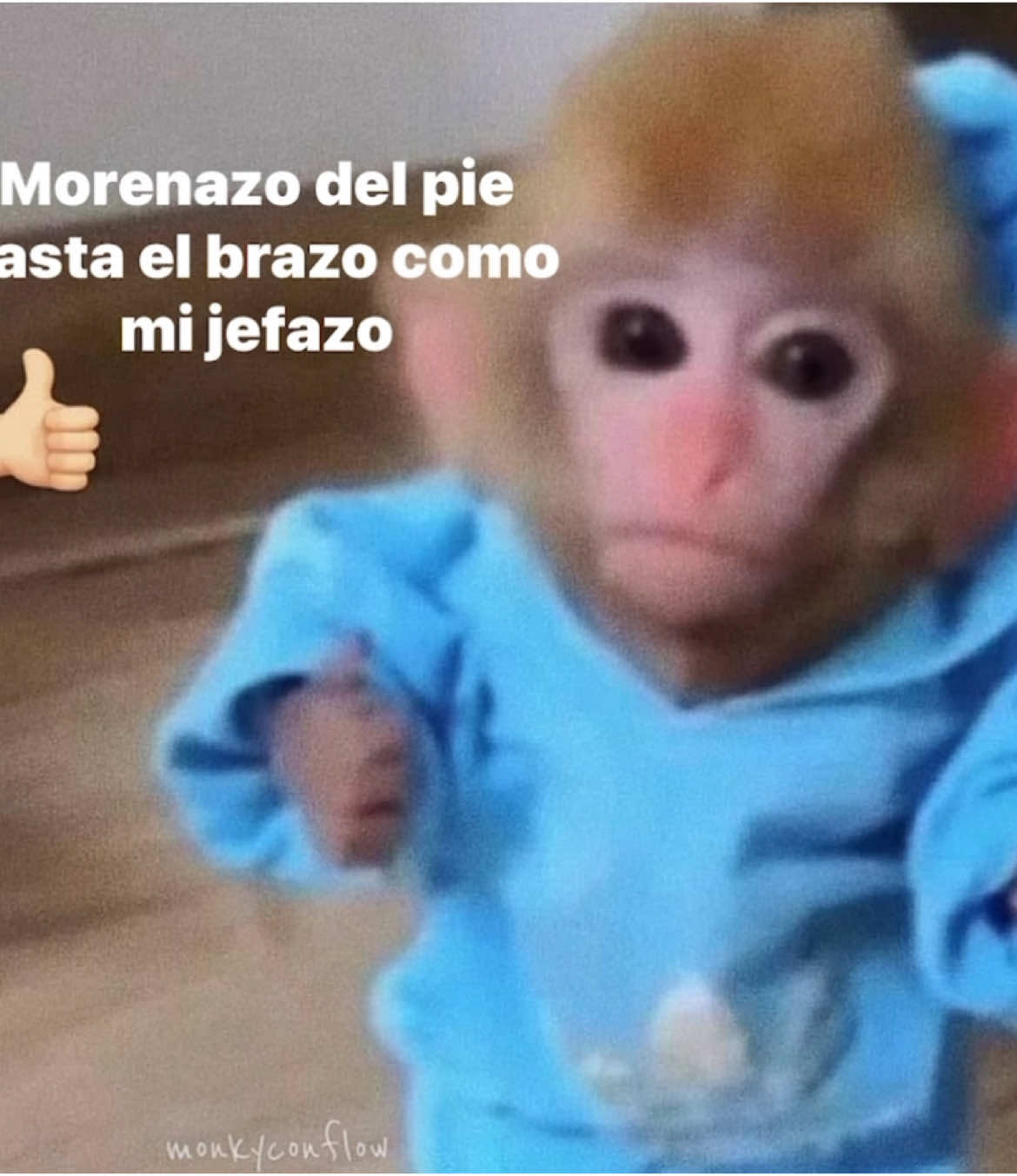 #monos #monkey #netonvega #morenazo #fyp 