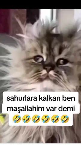 maşallah im var ya 🤣🤣🤣🤣🤣🤣#🤣🤣🤣🤣🤣🤣 #😂😂😂😂😂 #eğlence #komedikocak #keşfet #keşfettiktok #komedi #komikvideolar #tiktok 