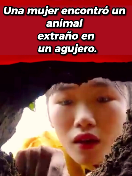 Una mujer encontró un extraño animal en un agujero. #usa_tiktok #us #LearnOnTikTok #truestory 