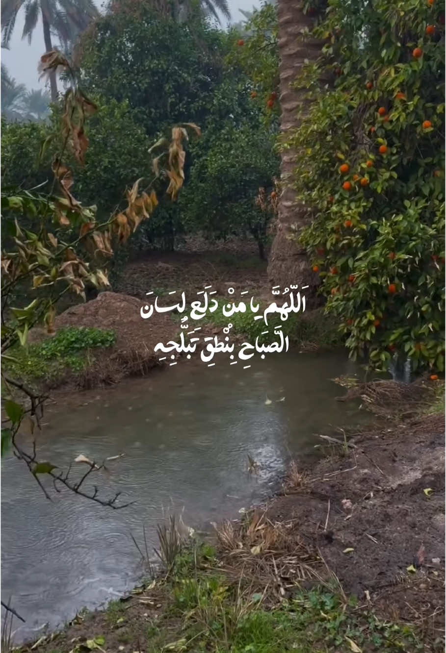 اَللّهُمَّ يا مَنْ دَلَعَ لِسَانَ الصَّبَاحِ بِنُطْقِ تَبَلُّجِهِ #دعاء_الصباح_بصوت_يريح_قلبك #علي_الكعبي #دعاء #صباح #تصميمي #اكسبلور #تعليقاتكم #صعدوالحساب #رمضان_كريم #محظور_من_الاكسبلور🥺 