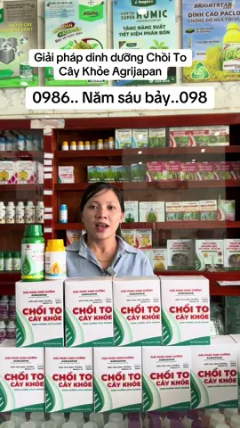Chồi to cây khỏe Agrijapan#agrijapan #choitocaykhoe #lua #nongnghiep 