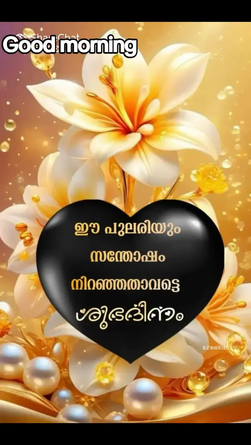 #ശുഭദിനം🥰🥰 #enjoylife😍 #foryou #tiktok #mallu #ശുഭദിനം🥰🥰 #♥️♥️♥️♥️❤️❤️❤️❤️😘😘😘😘😘 #Qatar 