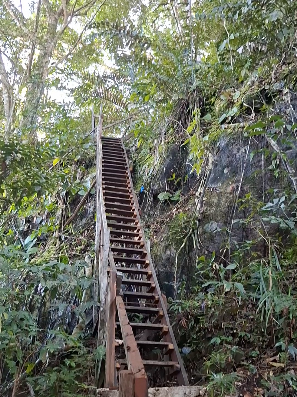 Pretty challenging 🥵  #Hiking #bausarawak #gunungorad #fypsarawak #kuchingsarawak #dorodorad #mountorad 