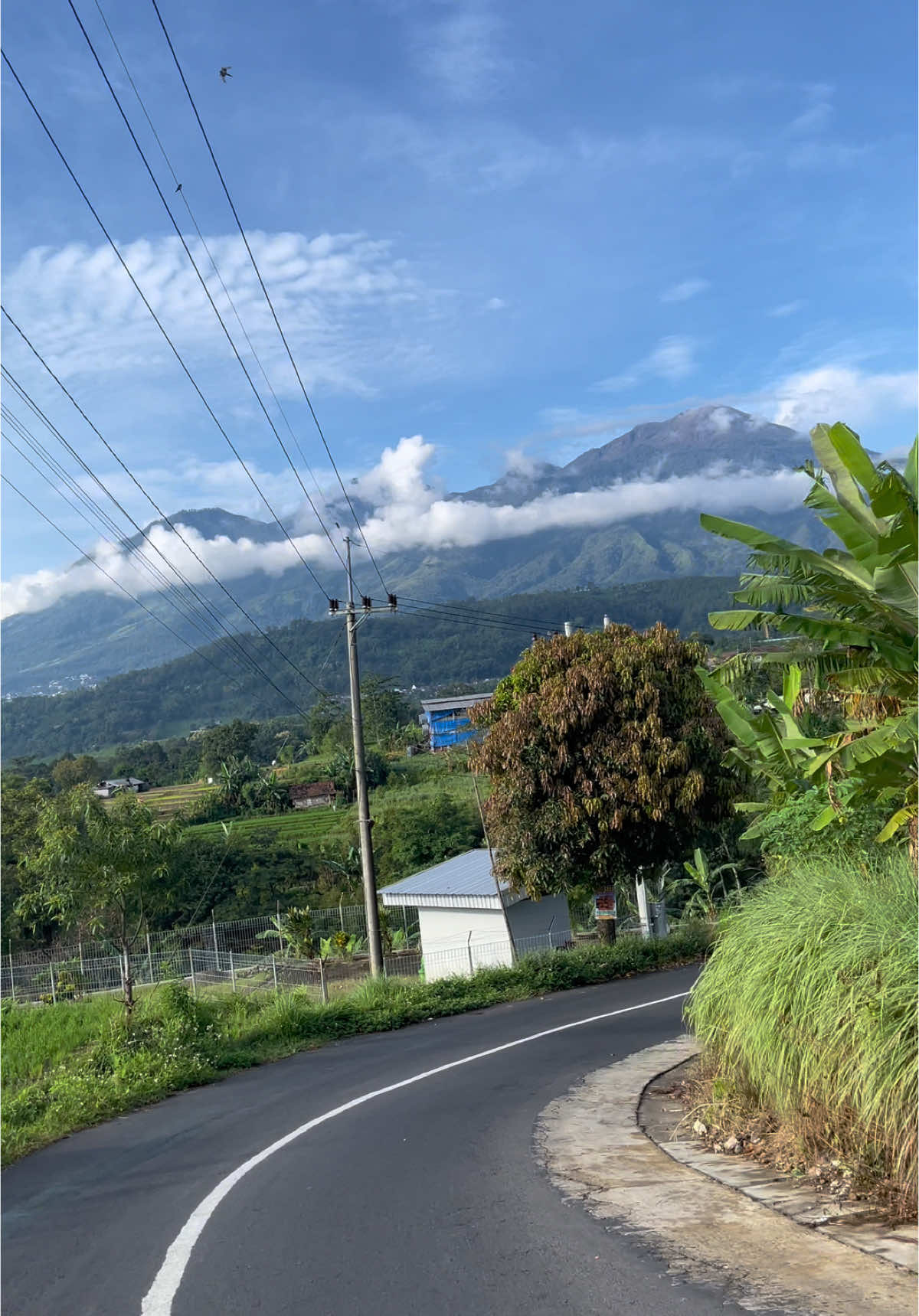 ke trawas via gudang garam gaada obat cuy cantik parah🥰🫶 #trawas #trawashits #trawasmojokerto 