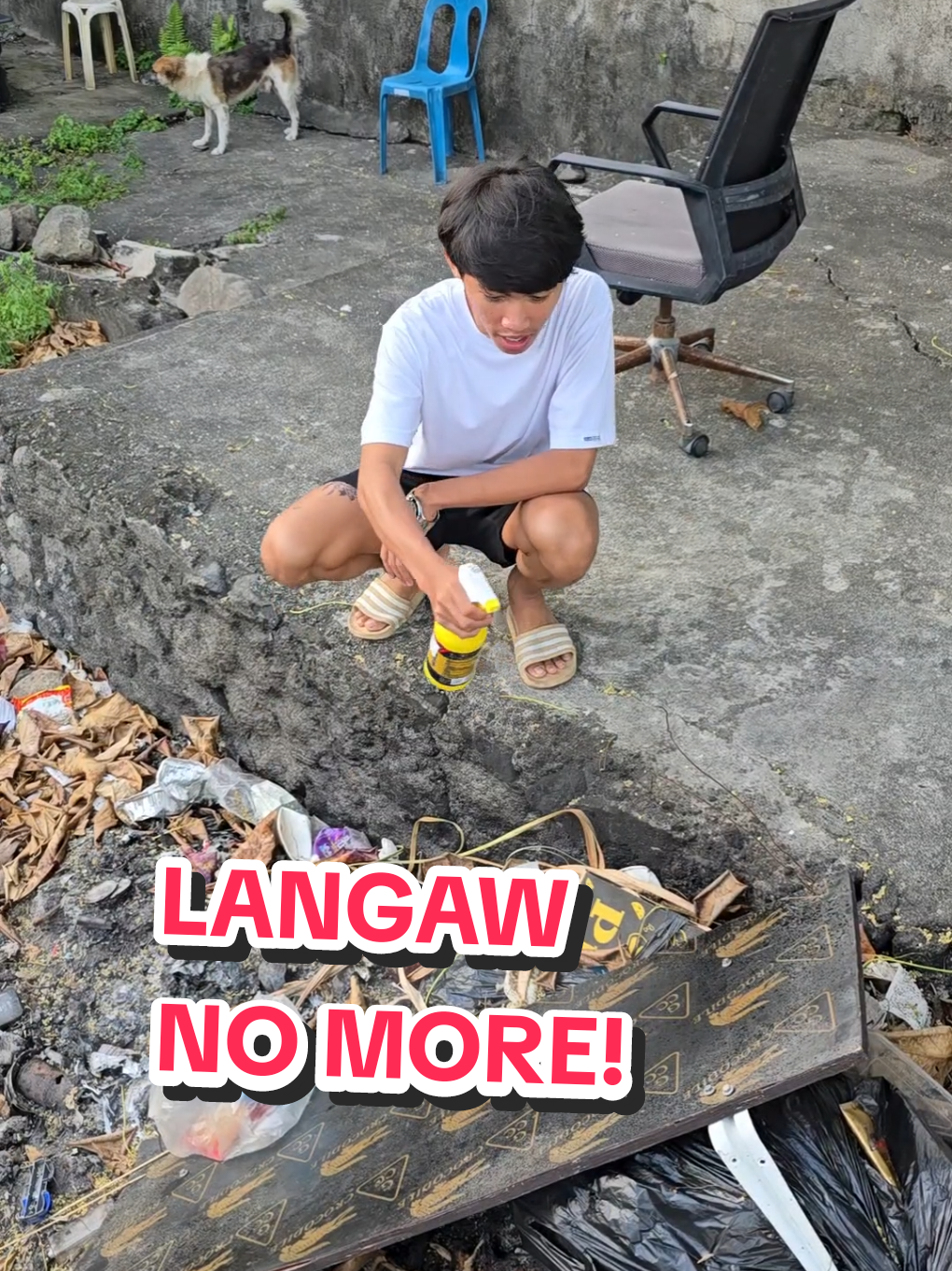 no more langaw... #flyspray  #flies  #langaw 