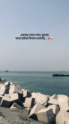 একবার পেয়ে গেলে, ফুলের মতো রাইখা দিতাম তোমারে 💗🥺  #tiktok #caption #foryoupage #vairalvideo #unfrezzmyaccount #foryoupageofficiall @TikTok Bangladesh 