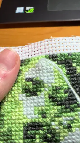 тгк моррис🌸🍧 #typeonegative #typeonegativeband #typeonegativefans #crossstitch #crossstitchoftiktok #тайпонегатив #вышивка #вышивканаодежде #вышиваниекрестиком 