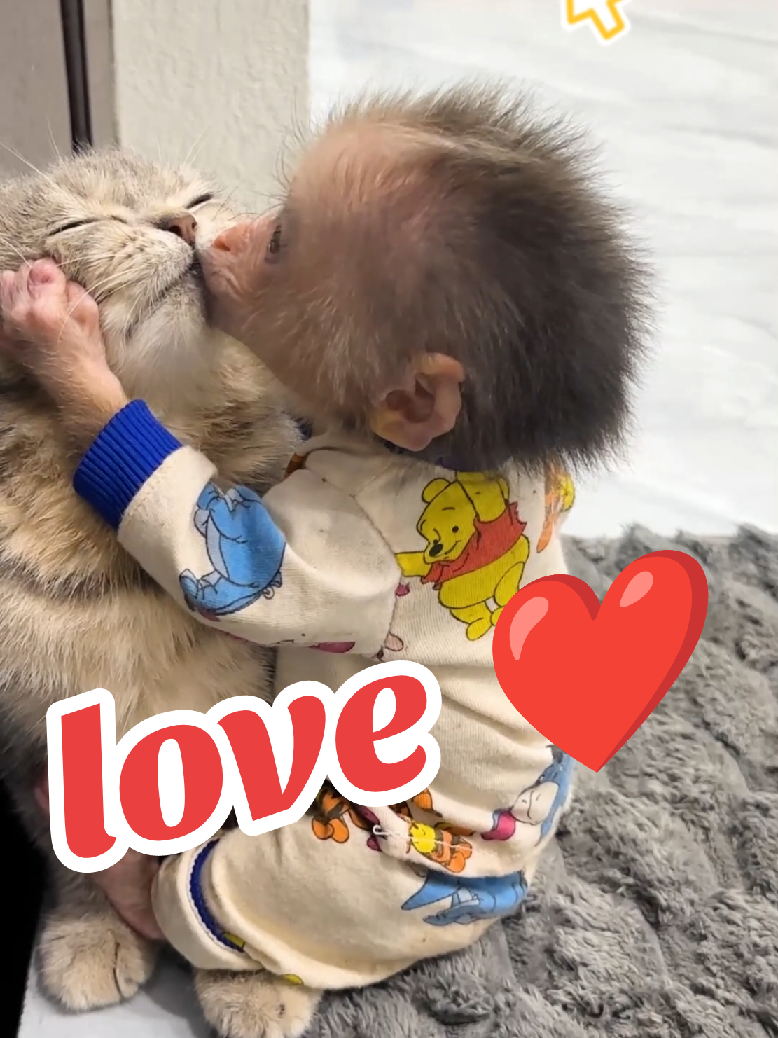 Lala love siba #animal #monkeydluffy #animalcutes #monkey #dadlovebibi 