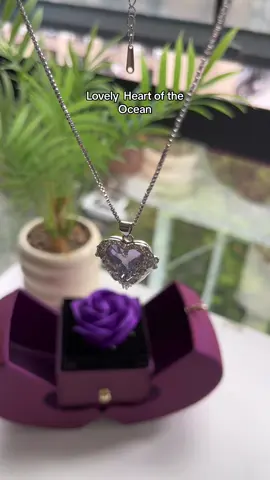 A gift that girls love.#gift #giftideas #Love #jewelry #purple #necklace #tose #jewelryboxes #surprise #festival #birthday #fyp 