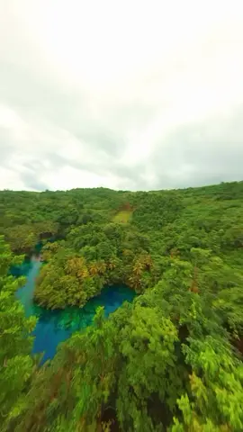 Danau Paisu Pok merupakan habitat bagi beberapa spesies endemik yang hanya ditemukan di Pulau Banggai Kepulauan, seperti burung Gagak Banggai dan Tarsius. Ada yang tau hewan Tarsius? Cr/📹 : @medicine.doc 📍Danau Paisu Pok, Pulau Banggai, Sulawesi Tengah. #wonderfulindonesia #DiIndonesiaAja 