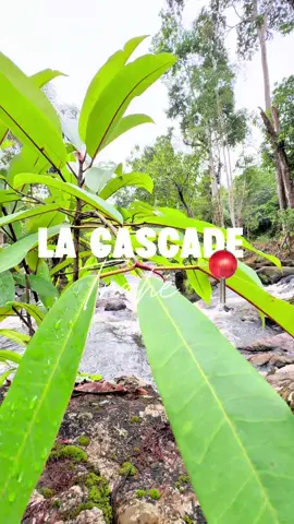 Cascade de trahé📍🐚 Plongée au cœur de la nature… Une cascade, du calme et une bonne dose de fraîcheur ! ✨🌿 Ici on partage tout 💡 💦 #vlogaventure #contentcreation #abidjan225🇨🇮 #france #Vlog #ugccreator 