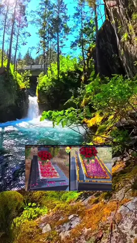 #CapCut_islamic_video_foryoupage❤️❤️💐🤲😔#foryou #18 #_sk 🥀 @@_sofi_786@@_sofi_786@@_sofi_786 #capcut_edit 
