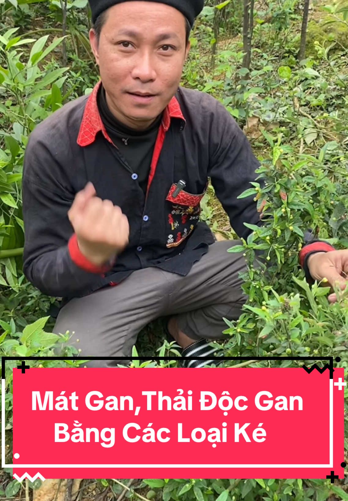 Thải độc,mát gan bằng thảo mộc thiên nhiên#langsu #matgan#thaidocgan#matthan#suckhoechomoinguoi #xuhuongtiktok 