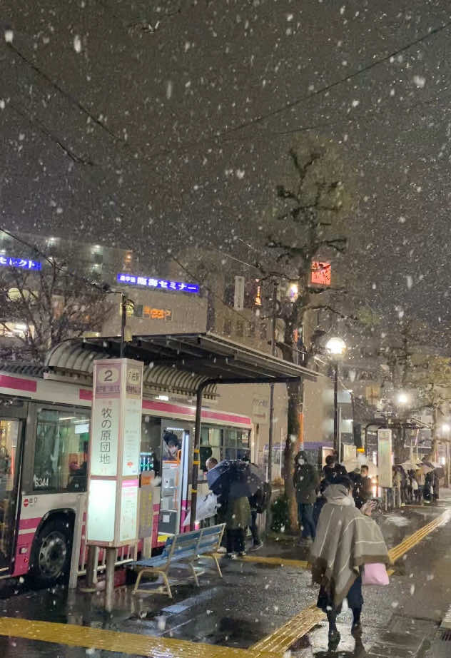 Chiba tối qua... Thật là romantic ❄️ 😱🥰#雪 #romantic #japan 