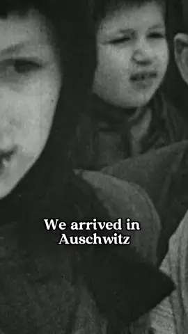 Auschwitz-Birkenau, hell on earth 💔
