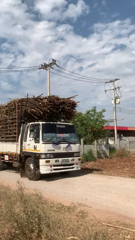 #พระเอกเมืองย่า #อ้อยทางไกล🚛🚛🚛 #อ้อยด่วนพิมาย🎋🚛 #ด่านขุนทด #โคราช 