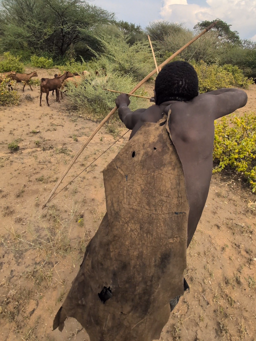 Hadzabe tribe Hunting time, Very Amazing Lifestyle#traditinal #culture #africa 