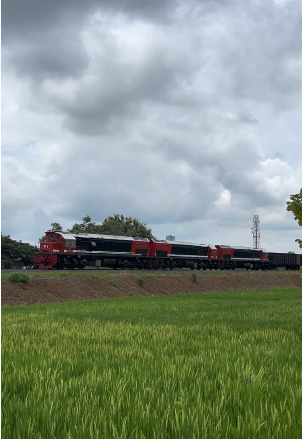 pesona ka babaranjang sang tulang punggung PT KAI persero dengan triple traksi CC 202 julukan si badak sumatra. #kai #kai121 #keretaapiindonesia #ayonaikkereta #indonesiarailway #railway #fyp #babaranjang 