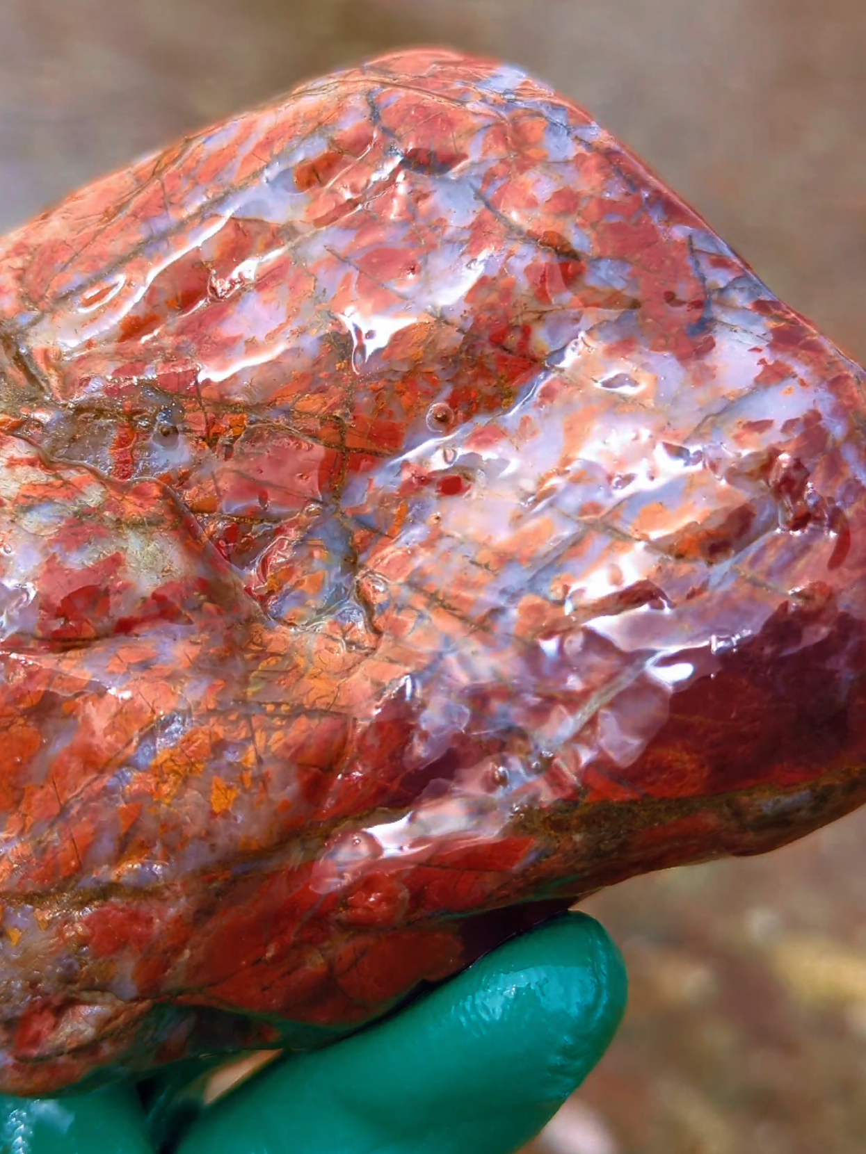 #rockhoundsoftiktok #jasper #rocktok #brecciatedjasper #agate #jaspagate #rockhounding #rockhound #lapidary #gemstone 