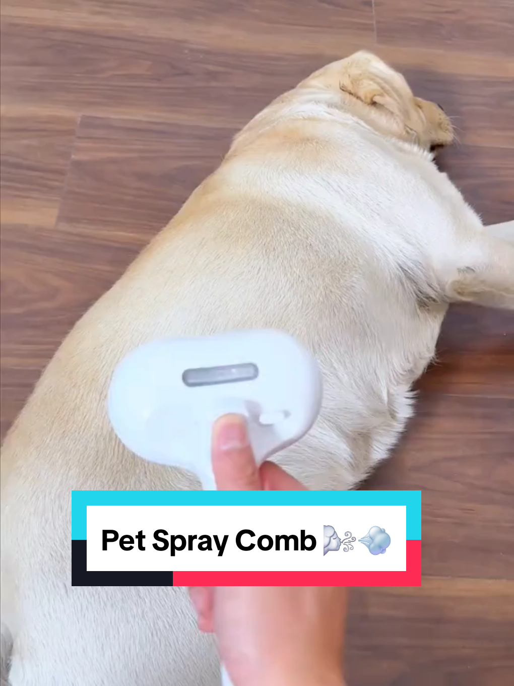 Pet Spray Comb 🌬💨 #petcomb #dogbrush #dogproducts #shedding #pethairremoval #dogshop 