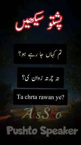 Part 107 Pashto zuban k jumlay sekhain | Pashto similar sentence #viral #tiktok #urdu #Pashto #shorts #aisskopushto @AisSko pushto learning ✅ 