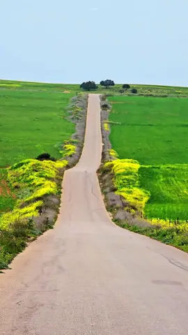 جمال الطبيعة في #بطة 🌳💚 الجبل الأخضر ليبيا 