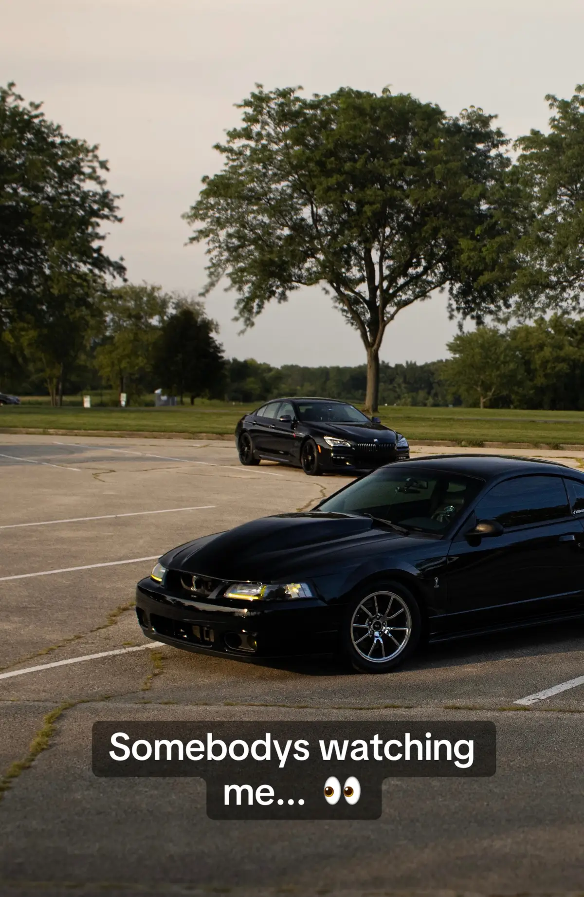 #fyp #cartok #mustang #svt #cobra #sn95