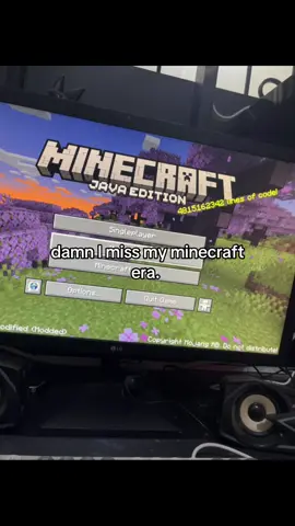 😕 #fyp #Minecraft #relateable