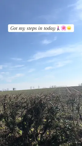 A lovely Sunday stroll - we thought it was a great idea then we started questioning our decision when we had about 5k to go and we ran out of water 🥹😅 but we got out and did it 🤍 #sundaywalk #sunshine #beingoutside #walking #14k #steps #gettingmystepsin 