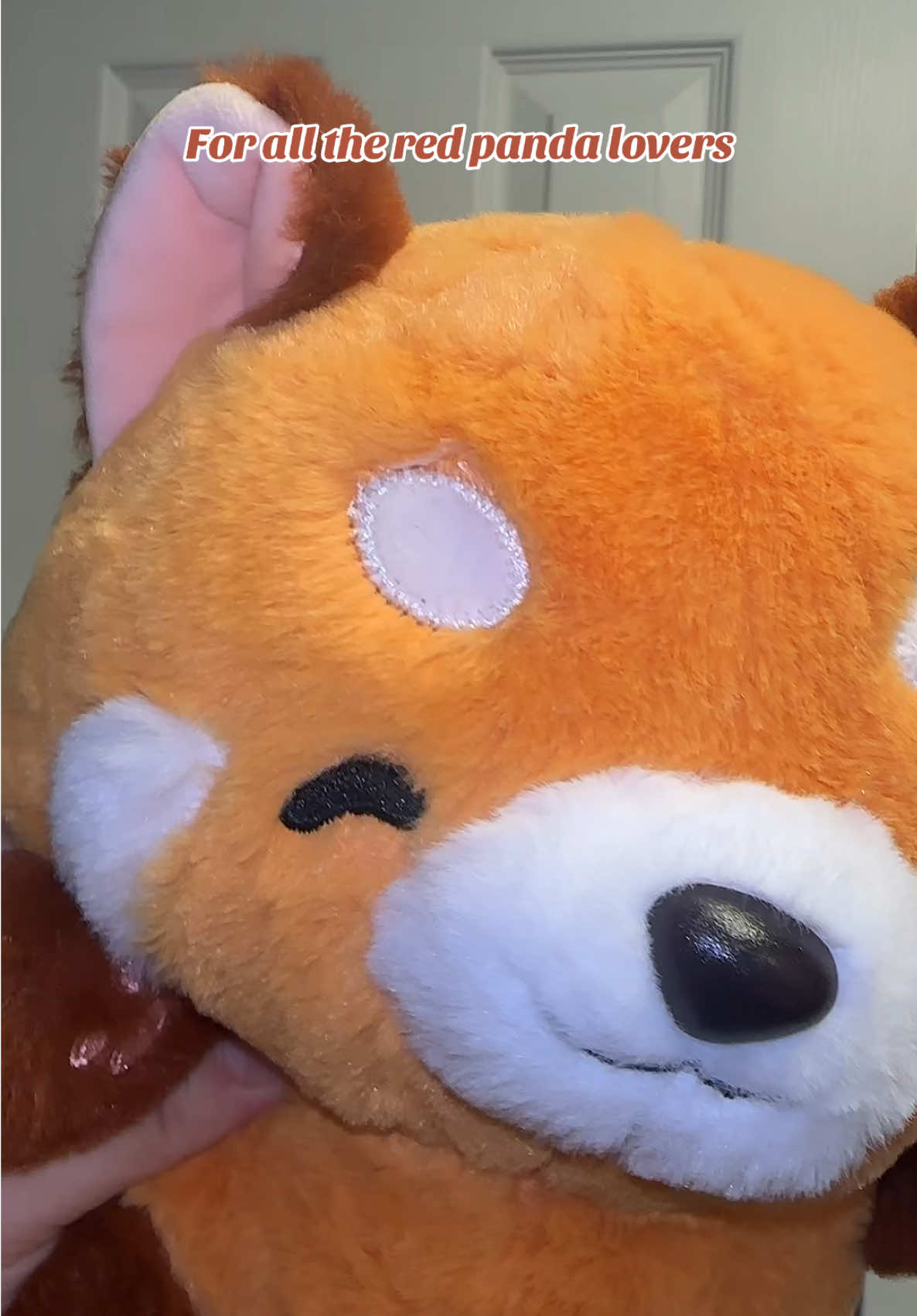 #redpanda #redpandaplush #plushie #stuffedanimal #redpandacute #tiktokshopspringglowup 