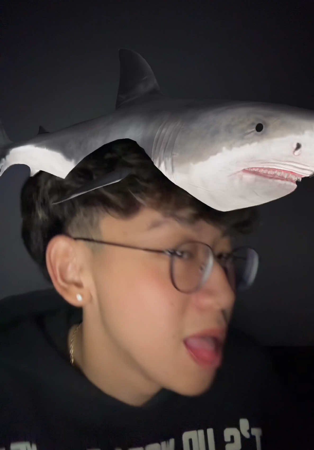 🦈