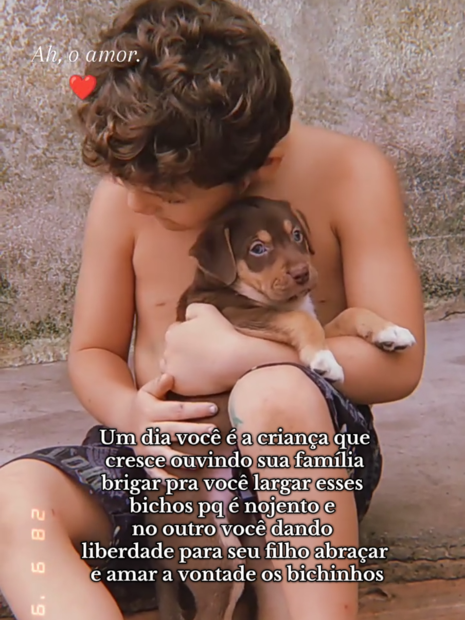 Doia quando criança não poder abraçar os bichinhos. 💔 #quatropatas #amoraosanimais #filhosbênçãodosenhor 