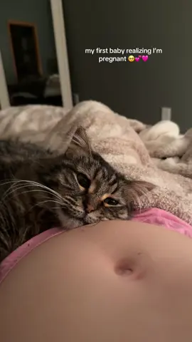 crying #catsoftiktok #firsttimemom #pregnant #fyp 
